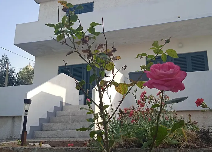 Mare Apartman Ždrelac