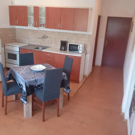 Front With Terrace And View Aprtment Mare Apartament Ždrelac